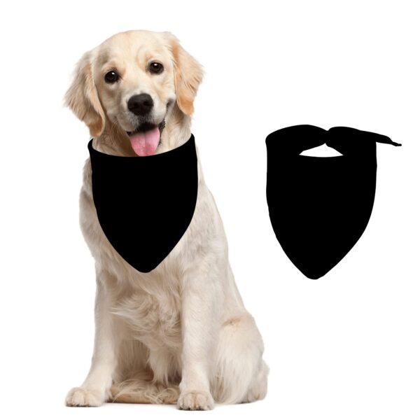 Bandana